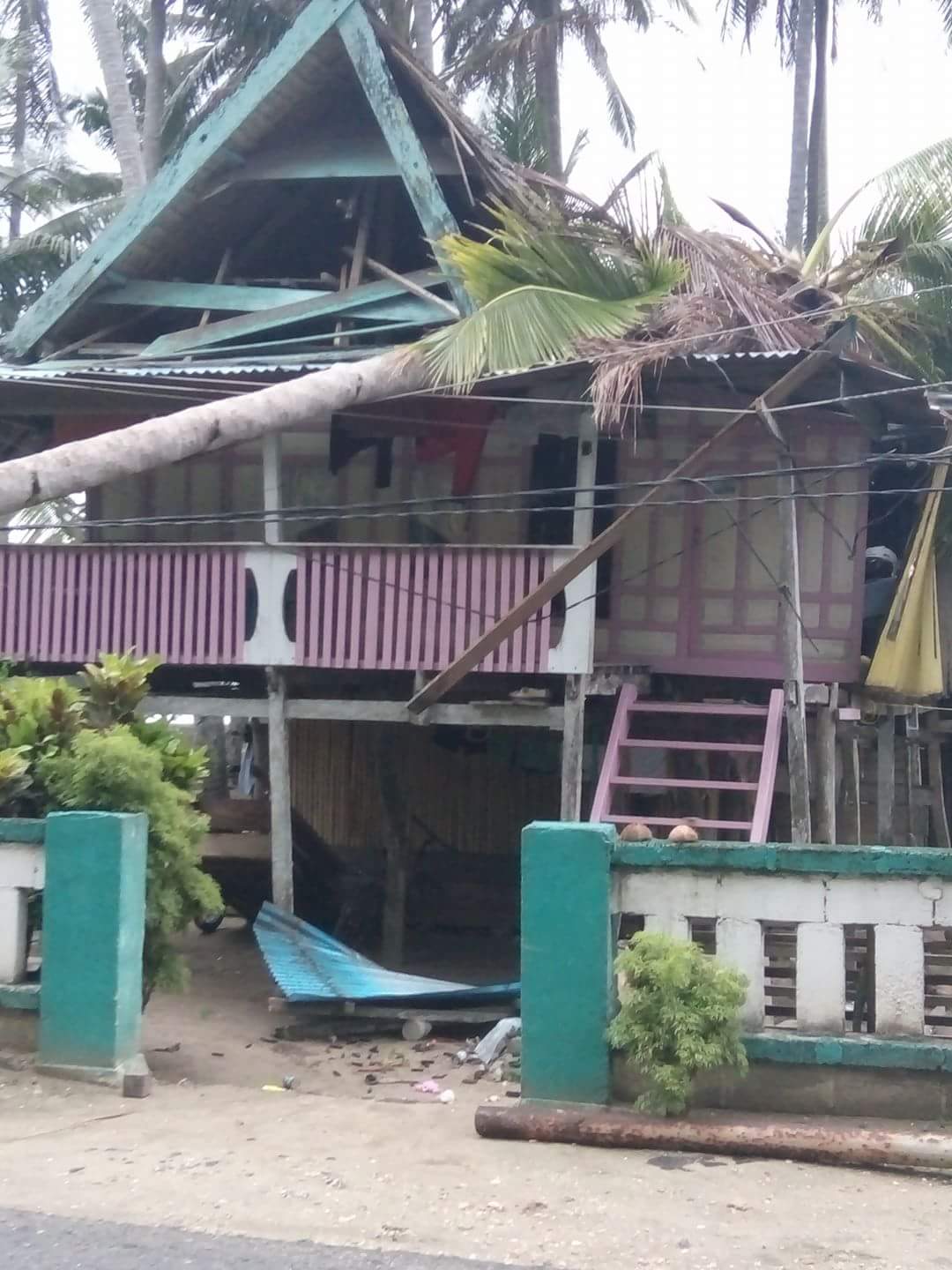 Pohon Tumbang Kembali Putus Jaringan Listrik PLN Selayar di 2 Kecamatan