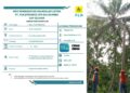 Perampalan Pohon, Besok Rabu PLN Padamkan Sebagian Bontomatene