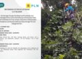 PLN ULP Selayar Besok Akan Lakukan Pemadaman di Sebagian Benteng, Bontoharu dan Bontosikuyu