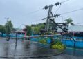 Pohon Tumbang Timpa Jaringan Listrik, Sebabkan 2 Jalur Utama di Kota Benteng Padam