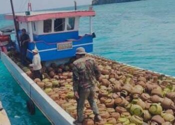 Lonjakan Harga LPG 3 Kg di Pulau-pulau Selayar 35 Ribu, Bukan 50 Ribu