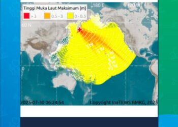 BREAKING NEWS: BMKG Terbitkan Peringatan Dini Tsunami, Warga Pesisir Diminta Waspada