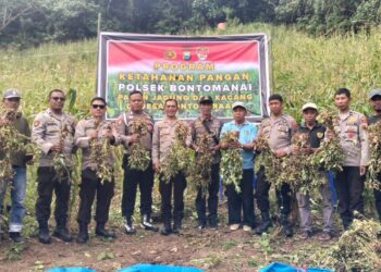 Polsek Bontomanai Selayar Panen Jagung dan Kacang Tanah Dukung Program Ketahanan Pangan Polri