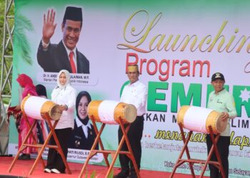 Menakar Klaim Amran Sulaiman, Hilirisasi Kelapa Bisa Hasilkan Devisa Hingga Rp 4.800 Triliun
