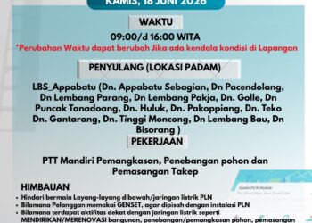PLN Selayar Lakukan Pemeliharaan Jaringan untuk Pemangkasan Pohon dan Pemasangan Takep
