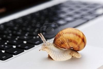 Speedy di Selayar