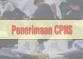 Penerimaan CPNS 2018