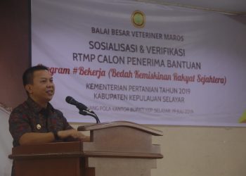 2000 KK Akan Dapat Bantuan Ternak Ayam, Penerima Mulai Diverifikasi