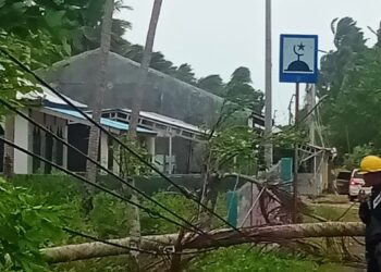 Hujan Deras & Angin Kencang, Jaringan Listrik PLN Selayar Bertumbangan
