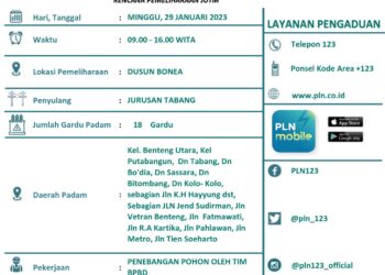 Pemeliharaan JUTM dan Penebangan Pohon oleh BPBD, Besok PLN akan Padamkan Tabang, Benteng Utara dan sekitarnya