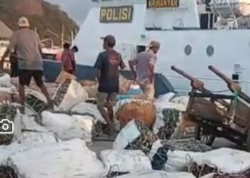 Polemik Syarat Sertifikat Karantina Ancam Usaha Perikanan Selayar, Kabid Tangkap DisKP Sulsel Angkat Bicara