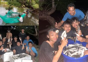 Fakultas Vokasi UNHAS Selayar Prodi Budidaya Laut dan Pantai,  Panen Ikan Bandeng Perdana