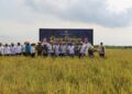 Nusa Kambangan  Panen Perdana, Bangun Lumbung Ketahanan Pangan dan Kesempatan Warga Binaan