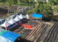 Sinergi Kodaeral VI dan Pemkab Selayar Tanam Kedelai Migo AL 1-89, Perkuat Kedaulatan Pangan dari Desa